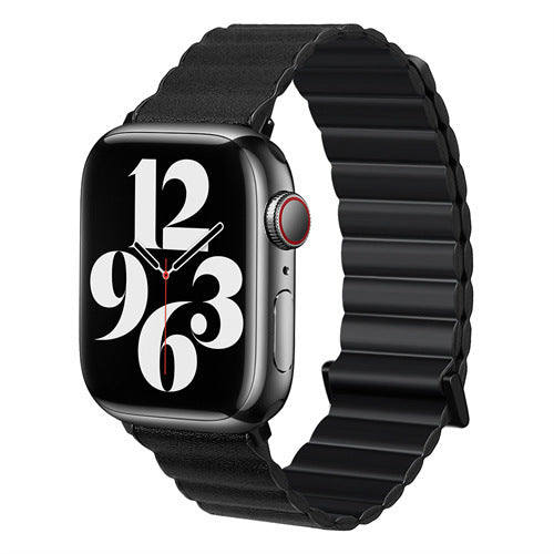 Magnetic Absorption Two-color Watch Band