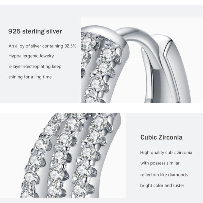 S925 Silver Frosty Style Earrings