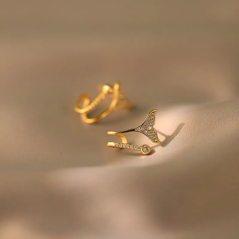 Small Exquisite Earrings