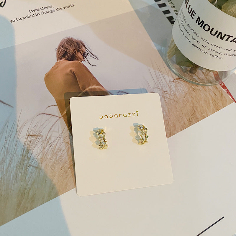 Small Exquisite Earrings